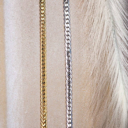 fishbone large chain2